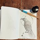 Mon projet du cours : Dessin artistique à l'encre. Un proyecto de Ilustración tradicional, Dibujo, Dibujo artístico e Ilustración con tinta de Fabien - 30.01.2023