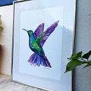 Tienda online de Lola Azcoytia. Series "Pájaros". Colibrí. Traditional illustration, Advertising, Art Direction, Br, ing, Identit, Arts, Crafts, Creative Consulting, Design Management, Events, Fine Arts, Graphic Design, Marketing, Multimedia, Painting, Social Media, Pattern Design, Creativit, Product Photograph, Watercolor Painting, Digital Marketing, Printing, Instagram, Content Marketing, Facebook Marketing, Interior Decoration, E-commerce, Commercial Photograph, Instagram Photograph, Communication, Social Media Design, Instagram Marketing, Naturalistic Illustration, Decorative Painting, and Business project by Lola Azcoytia Ortiz de Galisteo Martínez de Azcoytia - 01.30.2023