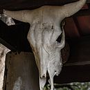 Fotos e outras coisas. Projekt z dziedziny Fotografia, Fotografia c, frowa,  Fotografia plenerowa,  Kompoz i cja w fotografii użytkownika Fabiano Araujo - 31.01.2023