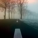 il suono dell'ombra. Photograph, and Fine Arts project by Maria Mezzatesta - 01.31.2023