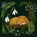 My project for course: Natural Illustration with Digital Painting Ein Projekt aus dem Bereich Traditionelle Illustration, Zeichnung, Digitale Illustration, Realistische Zeichnung, Digitale Malerei und Naturalistische Illustration von Marjaana Sivonen - 31.01.2023