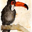Premières aquarelles. Un progetto di Pittura di Alice - 31.01.2023