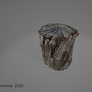 Fotogrametría a Tronco. Un progetto di 3D, Modellazione 3D, Videogiochi, Progettazione 3D e Progettazione di videogiochi di Leonardo Contreras Camacho - 30.01.2023