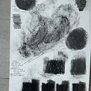 My project for course: Animal Illustration with Charcoal and Ink. Projekt z dziedziny  Sztuki piękne,  R, sunek,  R, sunek atramentem, Ilustracja naturalist i czna użytkownika Bev Barends - 03.02.2023