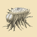 My project for course: Whimsical Sketchbook: Draw Imaginary Creatures from Nature. Un progetto di Disegno, Sketchbook, Illustrazione naturalistica, Disegno a matita e Pittura ad acquerello di mjl_schoonman - 03.02.2023