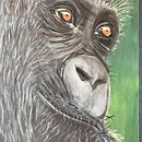 Pastel drawing of different animals. Realistic Drawing project by Jill Partington - 02.04.2023