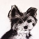 Mon projet du cours : Illustration d'animaux au fusain et à l'encre. Een project van  Beeldende kunst,  Tekening,  Illustratie met inkt y Naturalistische illustratie van Denis Beaulieu - 04.02.2023