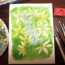 Mój projekt z kursu: Technika negatywowa w akwareli dla ilustracji botanicznych. Un proyecto de Ilustración tradicional, Pintura a la acuarela e Ilustración botánica de Anna Kopanska - 05.02.2023