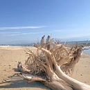 Mi proyecto del curso: La Cruz de Huanacaxtle beach, Nayarit, Mexico. Mobile Photograph, Outdoor Photograph & Instagram Photograph project by anicolas.cruz - 02.05.2023