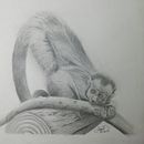 Spajus Apella  Ein Projekt aus dem Bereich Realistische Zeichnung und Bleistiftzeichnung von Angie Varila - 06.02.2023