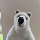 Needle felted standing Polar Bear. Needle Felting project by Maddy Edgington - 02.06.2023