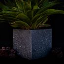 Macetas de cemento y portavasos con texturas tipo terrazo . % Diego Arias Ortez tarafından hazırlanan Sanat ve El Sanatları, Mobil, a Tasarımı ve Yapımı, İç Tasarım, İç Dekoras, on, Ve Kendin Yap projesi - 03.08.2023