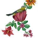 Mi proyecto del curso: Acuarela realista para composiciones botánicas : El descanso del pajaro.. Un projet de Peinture, Dessin, Aquarelle, Illustration botanique et Illustration traditionnelle de Rocio martinez - 07.02.2023