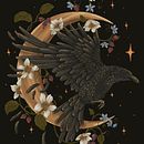 Meu projeto do curso: Ilustração naturalista com pintura digital. Un projet de Illustration traditionnelle, Dessin, Illustration numérique, Dessin réaliste, Peinture numérique et Illustration naturaliste de Thaís Giovanna Marsoli - 04.02.2023