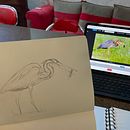 Mon projet du cours : Illustration naturaliste d'oiseaux à l'aquarelle. Traditional illustration, Watercolor Painting, Realistic Drawing, and Naturalistic Illustration project by laure_am - 02.09.2023