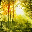 My project for course: Dreamy Watercolor Landscapes: Paint with Light. Een project van Schilderij, Aquarelschilderen y Traditionele illustratie van Wendy Coetzee - 10.02.2023