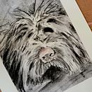 My project for course: Animal Illustration with Charcoal and Ink. Un projet de Beaux Arts, Dessin, Illustration à l'encre et Illustration naturaliste de Christy/ LoveLennyArt - 09.02.2023