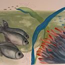 Il mio progetto del corso: Illustrazione di universi marini ad acquerello. Un progetto di Illustrazione tradizionale, Pittura, Pittura ad acquerello e Illustrazione naturalistica di michelacalandrini - 11.02.2023