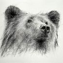 My project for course: Animal Illustration with Charcoal and Ink Ein Projekt aus dem Bereich Bildende Künste, Zeichnung, Illustration mit Tinte und Naturalistische Illustration von Leanne Penner - 12.02.2023