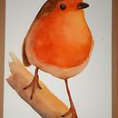 Colorful sweet bird to my "Italian Forest" project. Un projet de Illustration traditionnelle, Beaux Arts, Création de motifs, Aquarelle, Design de papeterie et Illustration jeunesse de Griselda Scarafia - 03.02.2022
