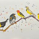 My project for course: Artistic Watercolor Techniques for Illustrating Birds . % Martin Learns tarafından hazırlanan Geleneksel illüstras, on, Sulubo, a Resim, Gerçekçi Çizim, Doğalcı İllüstras, Ve on projesi - 02.13.2023