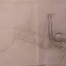 Mi proyecto del curso: Dibujo anatómico para principiantes. Un projet de Beaux Arts, Esquisse , Dessin au cra, on, Dessin, Dessin réaliste , et Dessin anatomique de Carolina Carreras - 14.02.2023