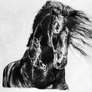 Apollo. Un progetto di Disegno a matita, Disegno, Disegno realistico, Disegno artistico e Belle arti di Mariana Lapuente - 15.02.2023
