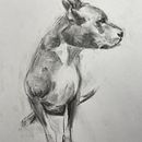 Animal Illustration with Charcoal and Ink: Monoprints and Bison study. Projekt z dziedziny  Sztuki piękne,  R, sunek,  R, sunek atramentem, Ilustracja naturalist i czna użytkownika rabbitrebel - 16.02.2023