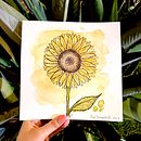 Meu projeto do curso: Da ilustração ao e-commerce: transforme sua arte em negócios (prints de ilustrações). Un projet de Illustration traditionnelle, Design graphique, Conception de produits, Illustration numérique , et Marketing digital de anamagarelli - 18.02.2023