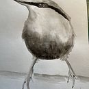 My project for course: Artistic Watercolor Techniques for Illustrating Birds. Projekt z dziedziny Tradycyjna ilustracja, Malowanie akwarelą, Rysunek realistyczny i Ilustracja naturalistyczna użytkownika Livia Olfar - 03.03.2023
