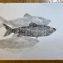 My project for course: Animal Illustration with Charcoal and Ink. Un progetto di Belle arti, Disegno, Illustrazione con inchiostro e Illustrazione naturalistica di Lindsay Redinger - 19.02.2023