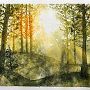My project for course: Dreamy Watercolor Landscapes: Paint with Light Ein Projekt aus dem Bereich Malerei und Aquarellmalerei von lynn_cox_1 - 08.02.2023