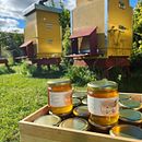 My honey jar label. Un progetto di Illustrazione tradizionale, Br, ing, Br, identit, Graphic design, Packaging, Tipografia, Disegno a matita, Disegno e Disegno realistico di Lollo Zackrisson - 21.02.2023