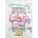 sperimentazioni. Een project van Traditionele illustratie van Sonia Andrighetto - 21.02.2023