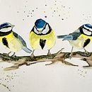 Mon projet du cours : Techniques artistiques d'aquarelle pour illustrer les oiseaux. Un progetto di Illustrazione tradizionale, Pittura ad acquerello, Disegno realistico e Illustrazione naturalistica di miss_egon - 22.02.2023