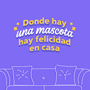 Feria de Mascotas | Campaña Retail. Un proyecto de Publicidad de Ignaurys Matos - 22.02.2023