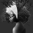 My project for course: Fine Art Self-Portrait Photography. Projekt z dziedziny Fotografia, Postprodukcja fotograficzna, Retuszowanie fotografii, Fotografia portretowa, Fotografia stud, jna, Fotografia art, st, czna, Fotomontaż i Autoportret fotograficzn użytkownika fifyloewen - 21.02.2023