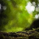 Image for "The Girl In The Moss" book.. Design e Ilustração tradicional projeto de hwalpole128 - 23.02.2023