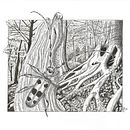 Il mio progetto del corso: Illustrazione con inchiostro e pennino: rappresenta la natura. Un proyecto de Bocetado, Dibujo, Dibujo artístico, Sketchbook, Ilustración con tinta e Ilustración naturalista				 de Federica Usai - 25.02.2023