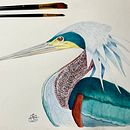Mi proyecto del curso: Ilustración naturalista de aves con acuarela Ein Projekt aus dem Bereich Traditionelle Illustration, Aquarellmalerei, Realistische Zeichnung und Naturalistische Illustration von Susana García Blanco - 15.02.2023