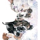 Mama cat and kittens. Un projet de Illustration traditionnelle, Aquarelle, Dessin réaliste et Illustration naturaliste de Karin Harvey - 22.04.2023