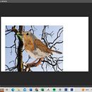 Ilustration naturalist . Ilustrație tradițională de Camila Avila - 07.30.2022