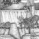 My project for course: Fairy-Tale Illustration with Pen and Ink. Un projet de Illustration traditionnelle, Dessin, Dessin artistique et Illustration à l'encre de Deryn van der Tang - 28.02.2023