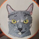 Bordado mascota  . % Paola Pérez tarafından hazırlanan Nakış projesi - 03.03.2023