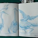My project for course: Illustrating Nature: A Creative Exploration. Projekt z dziedziny Trad, c, jna ilustracja,  Malarstwo,  R, sunek, Malowanie akwarelą,  R, sunek atramentem, Ilustracja naturalist i czna użytkownika Bev Barends - 24.02.2023