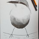 My project for course: Artistic Watercolor Techniques for Illustrating Birds. Projekt z dziedziny Trad, c, jna ilustracja, Malowanie akwarelą, R, sunek realist, czn, Ilustracja naturalist i czna użytkownika Max Linden - 04.03.2023