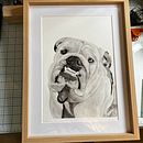 Jack ..el gordo . Traditional illustration project by Jorge Chong - 03.04.2023