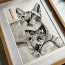 Ana . Design project by Jorge Chong - 03.04.2023