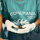 Pequeños granos de arena Ein Projekt aus dem Bereich Bildung von Zoe Castro - 09.03.2023