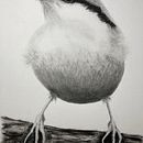 My project for course: Artistic Watercolor Techniques for Illustrating Birds. Un proyecto de Ilustración tradicional, Pintura a la acuarela, Dibujo realista e Ilustración naturalista				 de monikabartalis - 09.03.2023